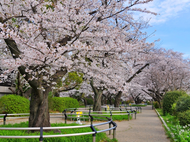 千鳥ヶ淵公園